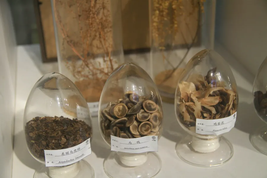 Bocaux en verre de plantes séchées étiquetés, présentés sur une étagère claire
