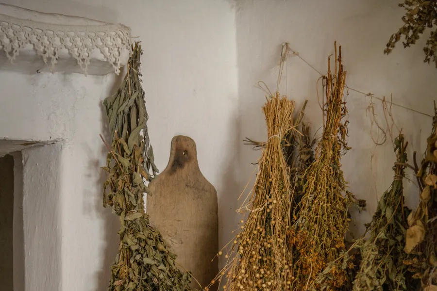 Bottes d'herbes séchant la tête en bas devant une fenêtre