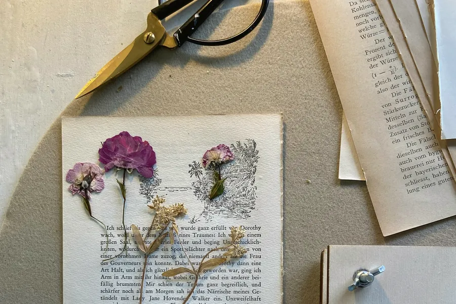 Fleurs et herbes pressées sur une page de livre, ciseaux à côté